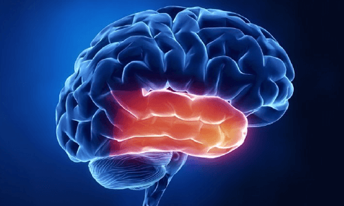 Fatica sistemica e fatica periferica: cos’è e come funziona